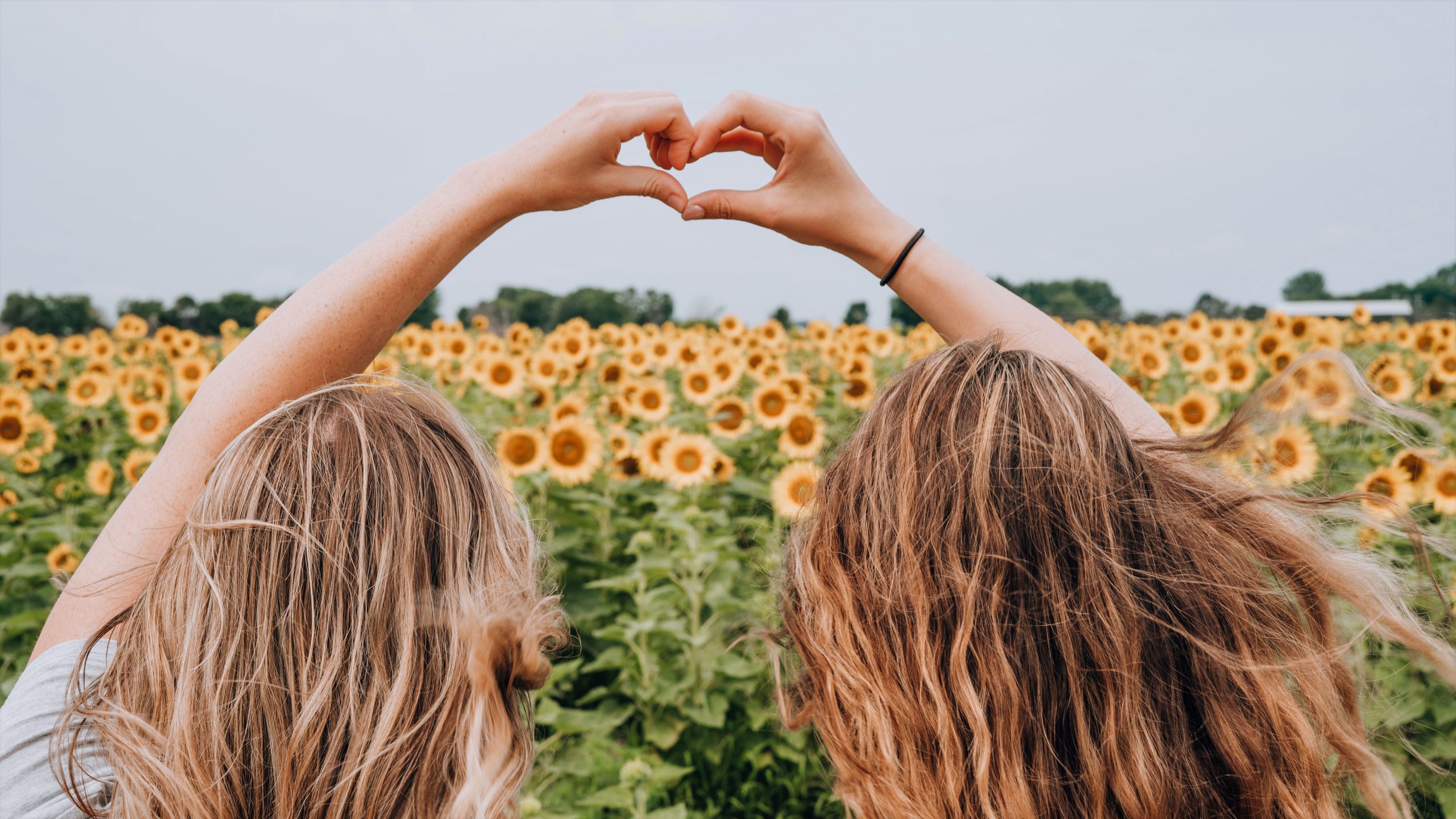 girls sitting next to sunflowers